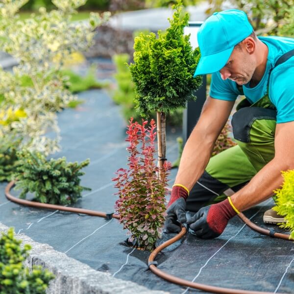 LANDSCAPING