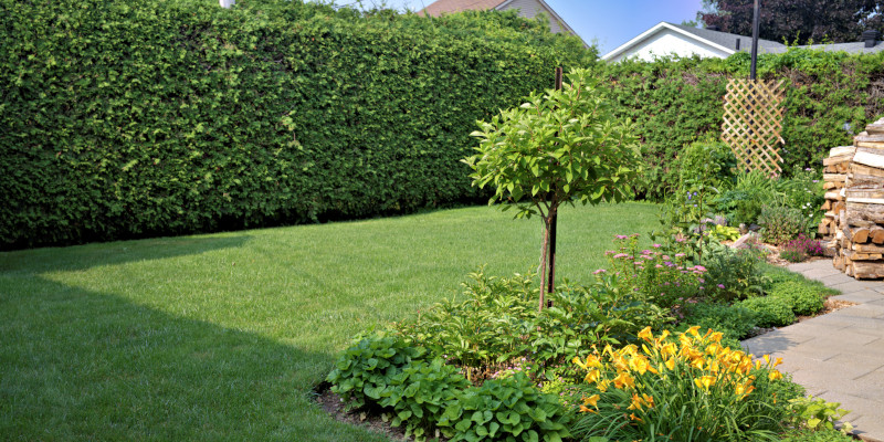 Landscaping in Cornelius, North Carolina