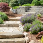 Walkways in Cornelius, North Carolina