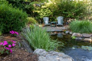 Water Features in Cornelius, North Carolina