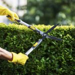 Lawn Care