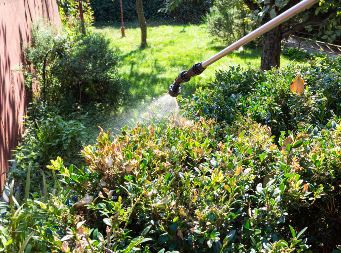 herbicide & insecticide
