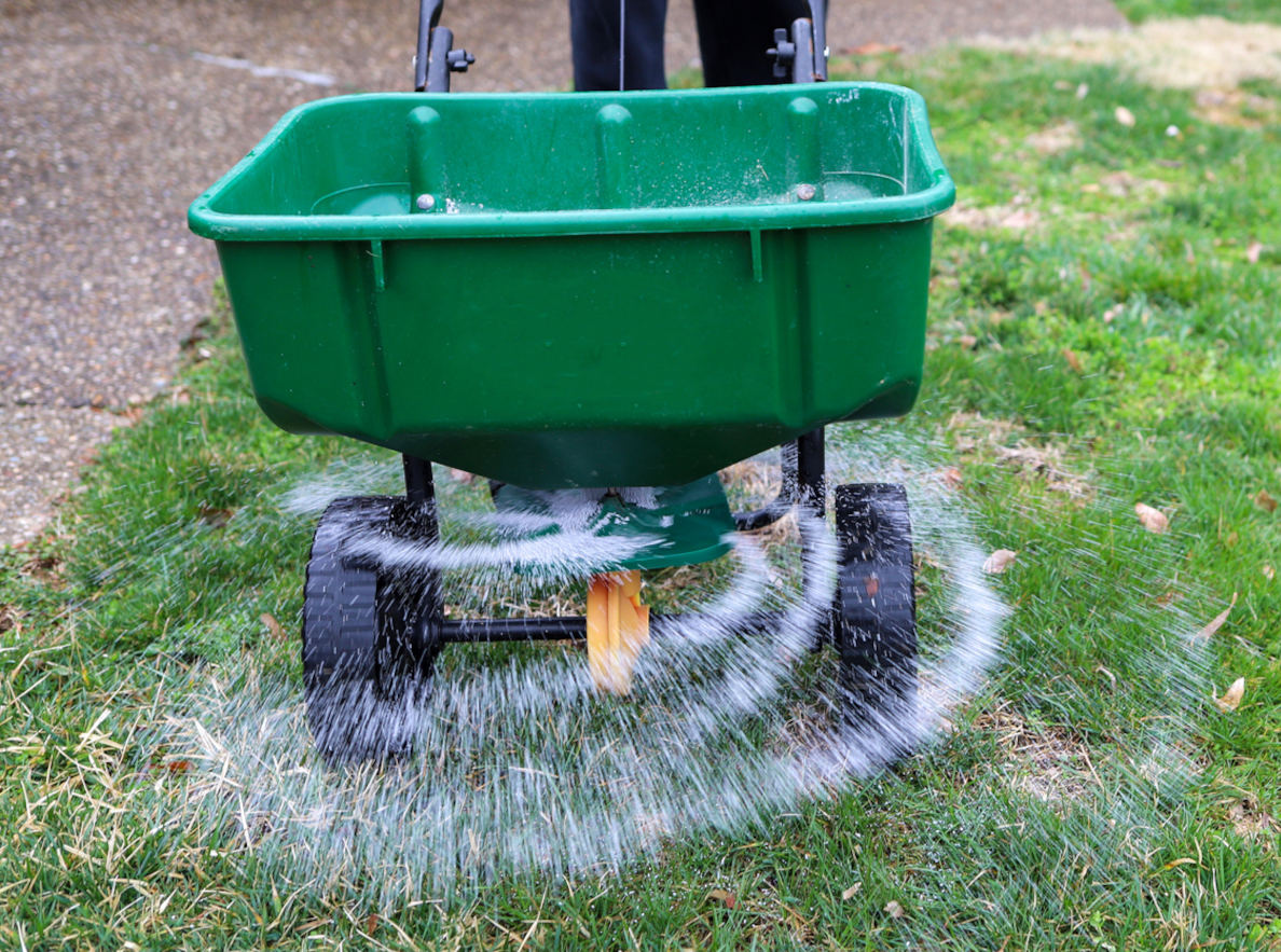 core aeration & overseeding