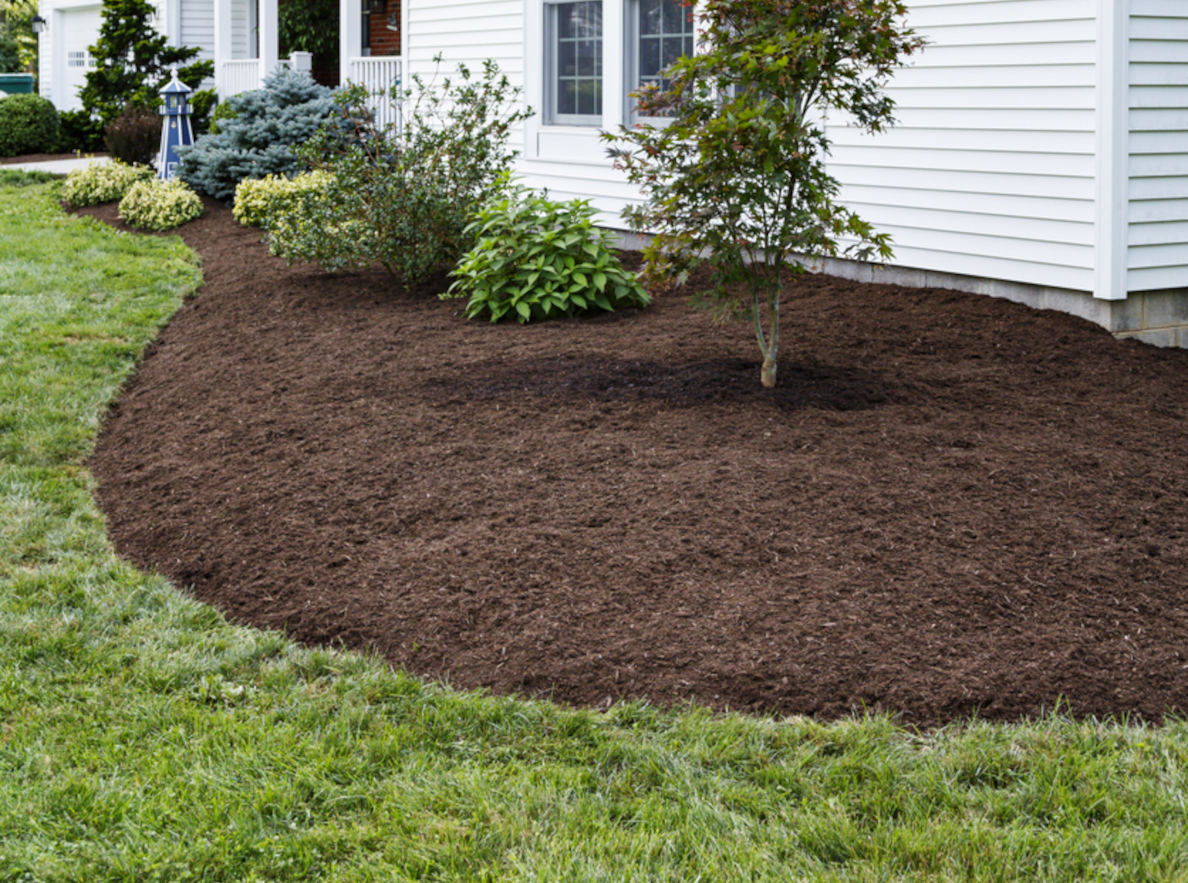 Mulch Installation