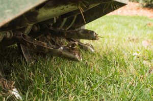 Core Aeration 101: What to Know