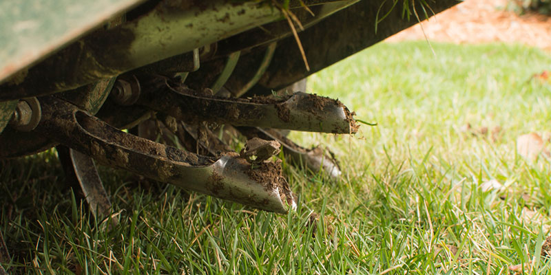 Core Aeration 101: What to Know