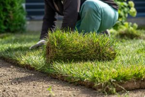How to Choose a Landscaping Contractor