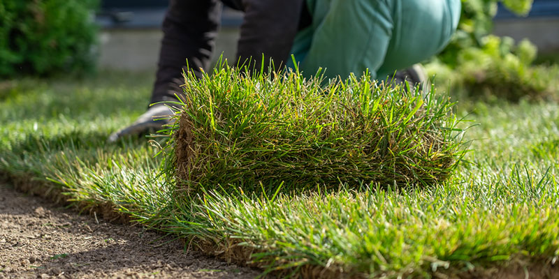 How to Choose a Landscaping Contractor
