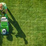 Lawn Maintenance