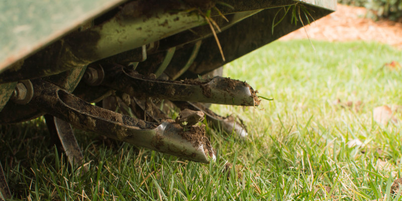 Core Aeration in Cornelius, North Carolina