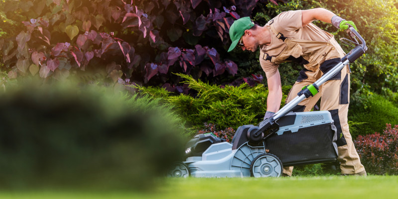 Lawn Mowing in Cornelius, North Carolina