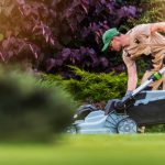 Lawn Mowing