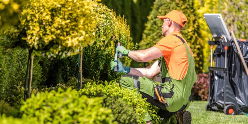 Landscaping Contractor in Cornelius, North Carolina