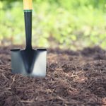 Mulch Installation