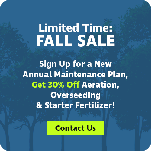 Limited time fall sale